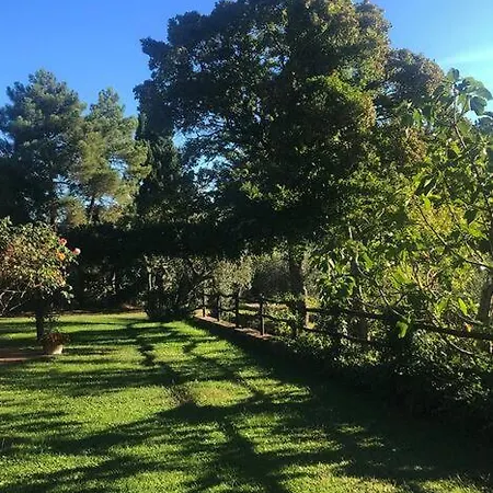 Villa Tuscan Countryside Paradise With Pool