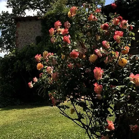 Tuscan Countryside Paradise With Pool Villa *